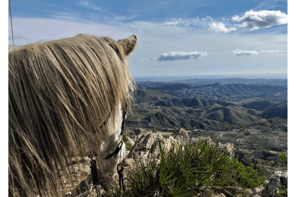 Eldorado Trek New Photo-1