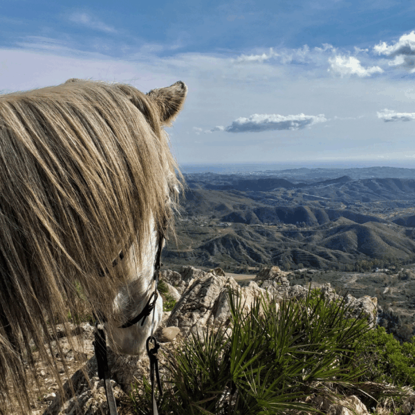 Eldorado Trek New Photo-1
