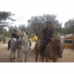 Nacimiento Trek-1