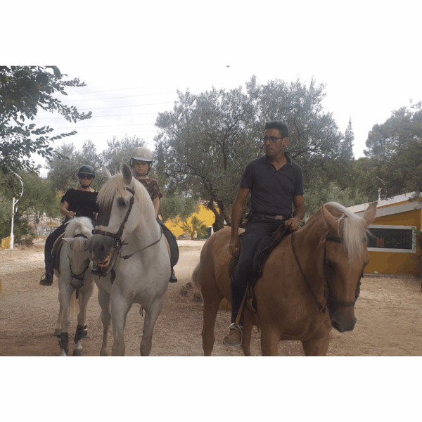 Nacimiento Trek-1