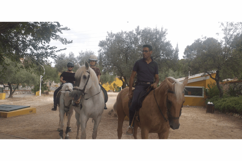 Nacimiento Trek-1