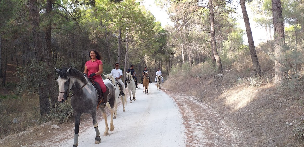 Ride In Spain: Horse Treks Malaga Marbella Costa Del Sol Spain